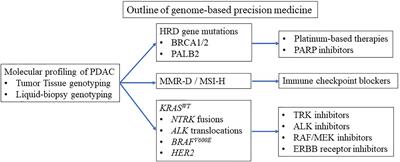 Molecular and Phenotypic Profiling for Precision Medicine in Pancreatic Cancer: Current Advances and Future Perspectives